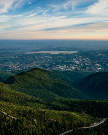 Handcrafted Wooden Art